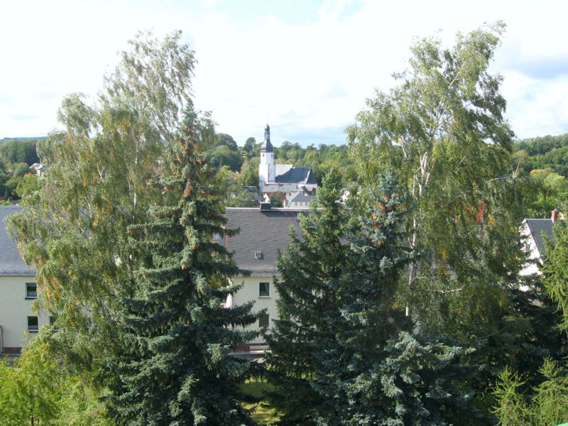 Blick zum Kirchturm - Wohnung mieten in Neumark / Vogtland